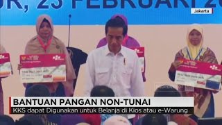 Pemerintah Salurkan Kartu Keluarga Sejahtera di 44 Kota [upl. by Rafa116]