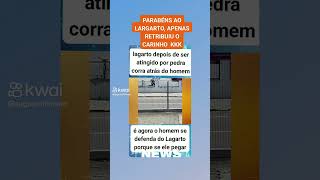 O LAGARTO DEPOIS DE SER ATINGIDO POR PEDRAS CORREU ATRÁS DO HOMEM curiosidades notícias [upl. by Arther]