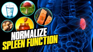 Normalize Spleen Function By Eating These Foods [upl. by Alvera751]