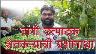 Success Story of Brinjal Crop वांगी शेतकऱ्याची यशोगाथा Z7 plus antivirus Vegetable KIT [upl. by Iover]