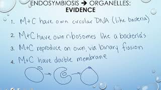 Protist Evolution  Classification Protists 23 [upl. by Itin]