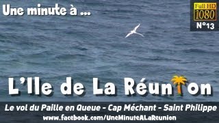 Le vol du Paille en Queue  Cap Méchant  Saint Philippe  Une minute à La Réunion HD N°13 [upl. by Dickie37]