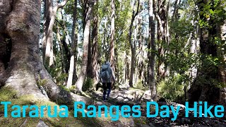 Massive New Zealand Day Hike  Classic Tararua Ranges Tramping [upl. by Kcoj]