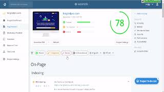 WooRank Review Any Good Take a Look Inside This Pro SEO Tool [upl. by Gytle789]