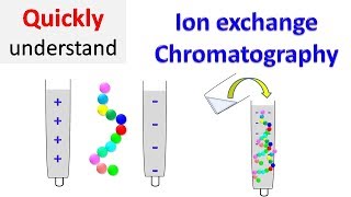 Ion exchange chromatography [upl. by Chi]