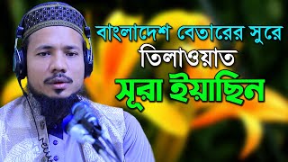 সুরা ইয়াসিন রমজান মাসের রেডিও সুরে হিফজুল কুরআন সাইফুল ইসলাম পারভেজ Saiful Islam Parvez Sura Yeasin [upl. by Rhodie670]