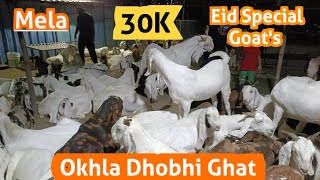 Okhla  Dhobhi Ghat Bakra Mandi 2024 [upl. by Mohammed906]