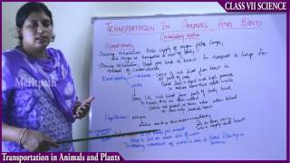 classVII Science Transportation in Plant and Animals part 1 [upl. by Figone]