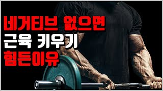 초보자건 상급자건 네거티브는 필수입니다 근성장 최적의 메커니즘 네거티브원심성수축 [upl. by Farley]