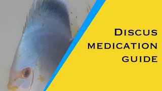 How to select the right medicines for sick Discus fish [upl. by Qidas]