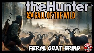 🔴LIVE Grinding Feral Goats 2 Guaranteed Diamonds Will Go Down [upl. by Yslek]