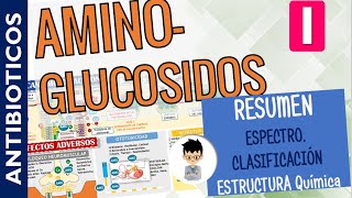 AMINOGLUCOSIDOS RESUMEN CLASIFICACIÓN Mecanismo de Acción ESPECTRO Antibacteriano  PARTE 1 [upl. by Polish]