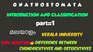 BSC ZOOLOGYMODULE2GNATHOSTOMATAPISCESINTRODUCTION AND CLASSIFICATIONPART1kerala university [upl. by Petromilli]