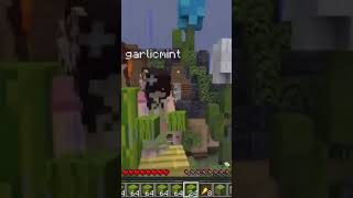 This sums up the video and my brain garlicmint heulandite minecraftgameplay minecraftmemes [upl. by Nidroj]