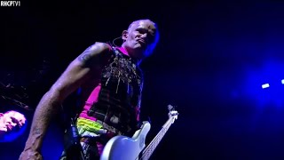 Flea  Fantastic Bass Solo [upl. by Ahseiat981]