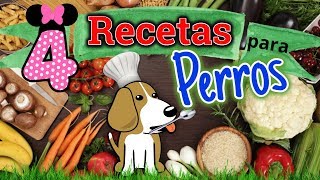 4★COMIDAS CASERAS PARA PERROS★BARATAS Y FACILES Coton de tulear I Lorentix [upl. by Eelam]