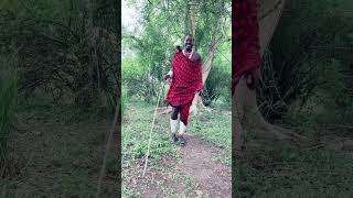 masai masaimara dance subscribe [upl. by Berri]