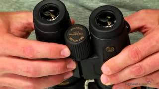 Leupold 10x42mm BX2 Acadia Binoculars  Product Review Video [upl. by Eiffe]