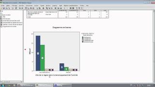 Formation SPSS Tableaux deffectifs et Diagrammes [upl. by Kcirrad]