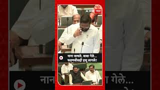 Eknath Shinde speech Vidhan Sabha  नाना वाचले बाबा गेले विरोधकांना धुतलं फडणवीसही हसू लागले [upl. by Akimit]