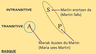 Morphosyntactic Alignment  What is Ergativity [upl. by Goat]