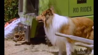 The New Lassie Season 2 Eps7 [upl. by Benge955]