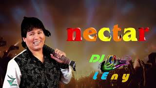 Mix Nectar Exitos Johnny Orozco Dj LEny [upl. by Hourigan]