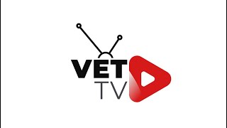 Köpekler KALP KRİZİ geçirir mi VetTVKanal3 [upl. by Pedaias]