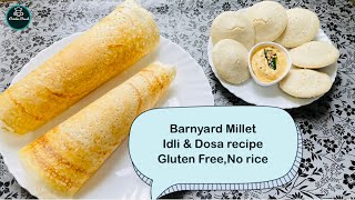 Barnyard Millet Dosa Recipe  Millet dosa recipe  Weight loss millet recipe  Gluten Free Recipes [upl. by Ikeda715]