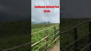 Eravikulam  National Park kerala vacation travel fun kerala [upl. by Amirak]