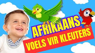 Voëls kleuters lami afrikaans [upl. by Emilie]