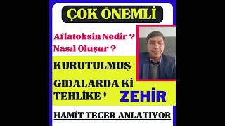 Aflatoksin Nedir Nasıl Oluşur [upl. by Eedebez]