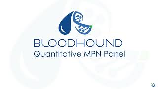 Bloodhound Quantitative MPN Panel Overview [upl. by Nwahsir]