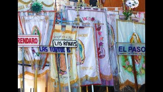 Peregrinación al Tepeyac 2019  Región Morelia  Grupo Las Ranas [upl. by Stanzel957]