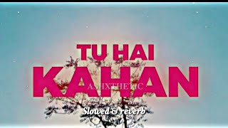 Tu Hai Kahan Slowed Reverb  ARU Song Mood Fresh Song  Relaxe Song  Tu Hai Kahan [upl. by Topping]