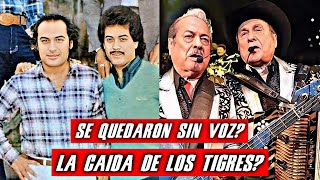 ¿LLEGARON A SU FIN  EL ASCENSO Y CAIDA DE LOS TIGRES DEL NORTE  ¿DESAFINADOS  LA HISTORIA [upl. by Sivek816]