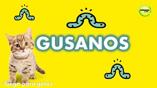 Juego para gatos  gusano [upl. by Tewfik588]