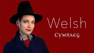 About the Welsh language [upl. by Furie]