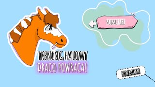 Trening Halowy  Pogadanka amp krótki trening ujeżdżeniowy z moim komentarzem😊 [upl. by Patricio]