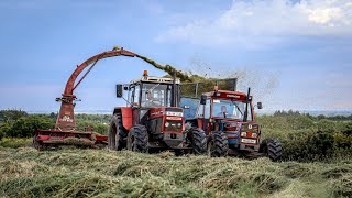 Silage 2024  Old School  Jf 900  Fiat 10090 amp Zetor 10245 [upl. by Natica126]