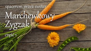 Wrześniowy Wielki Zygzak  cz 1 [upl. by Fanchie]