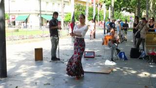 Flamenco Dance in Sevilla Spain [upl. by Ennayoj295]