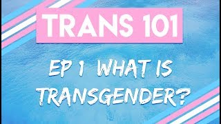 Trans 101 Ep 1  What is Transgender CC [upl. by Naujyt]