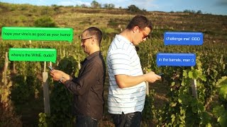 Furmint Adventures  Episode 11 Gizella Cellar [upl. by Caylor]