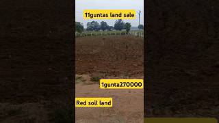 Low cost agricultural land sale in Telangana agriculture [upl. by Dry]