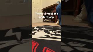 Trying to make the perfect loop loop shorts trending [upl. by Eirased271]