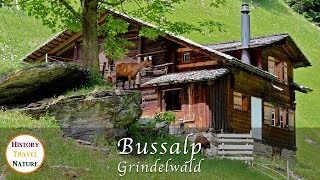 Wandern in der Schweiz  Bussalp  Grindelwald  Berner Oberland [upl. by Orozco908]