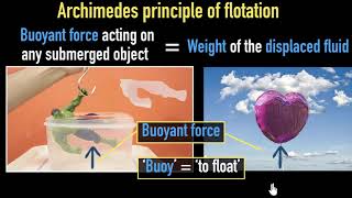 Archimedes principle amp buoyancy  fluids  Physics  Khan Academy [upl. by Donelu]