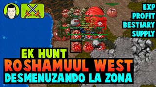 Tibia ⚔ Roshamuul West  Hunt Elite Knight  Desmenuzando la Zona [upl. by Adnaluoy432]