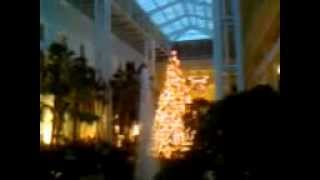 Multiple Ghosts Captured at Opryland Hotel Country Christmas [upl. by Chaffinch]